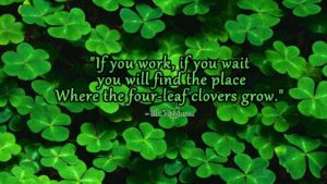 four leaf clover wallpapers - wallpaper cave