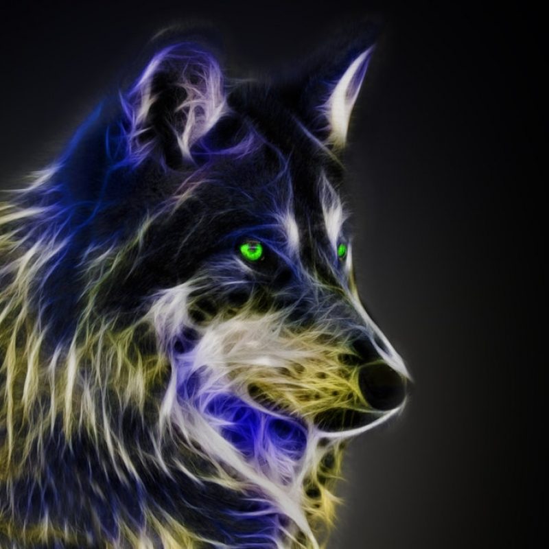 10 Top Pics Of Cool Wolves FULL HD 1920×1080 For PC Desktop 2022 free download fractal wolfmichalius89 on deviantart 800x800