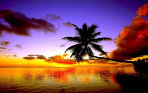 free beach sunset wallpapers - wallpaper cave | beautiful wallpapers