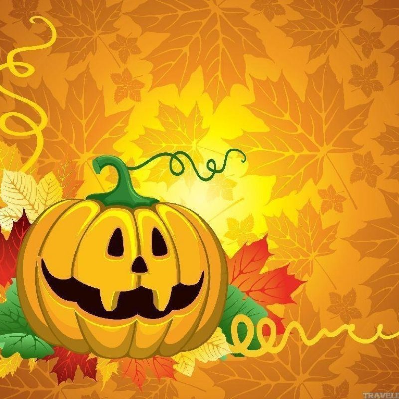 10 Top Cute Pumpkin Halloween Wallpaper FULL HD 1920×1080 For PC Desktop 2022 free download free cute halloween wallpapers wallpaper cave 800x800