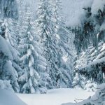 free desktop wallpapers winter scenes - wallpaper cave