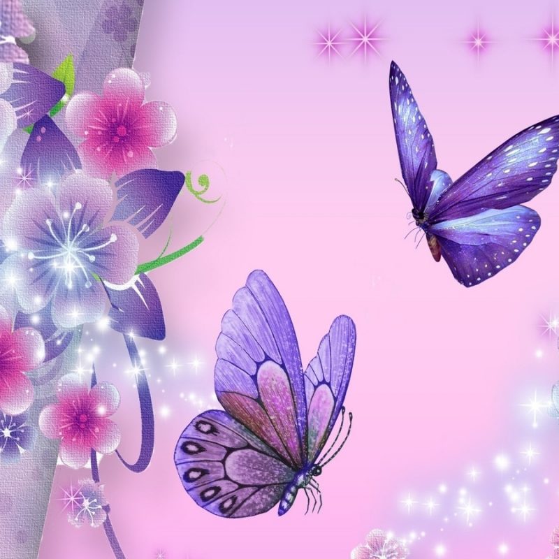 10 Most Popular Wallpapers Butterfly Free Download FULL HD 1080p For PC Background 2022 free download free download butterfly wallpaper top backgrounds wallpapers 800x800