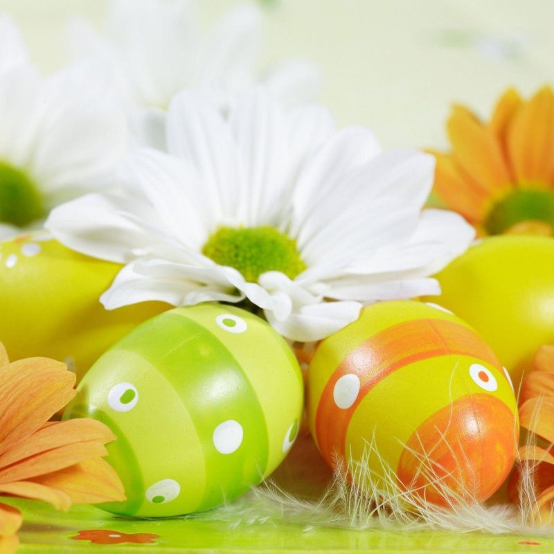10 Top Free Easter Desktop Wallpapers FULL HD 1920×1080 For PC Background 2023 free download free easter wallpapers for computer wallpaper cave 7 800x800