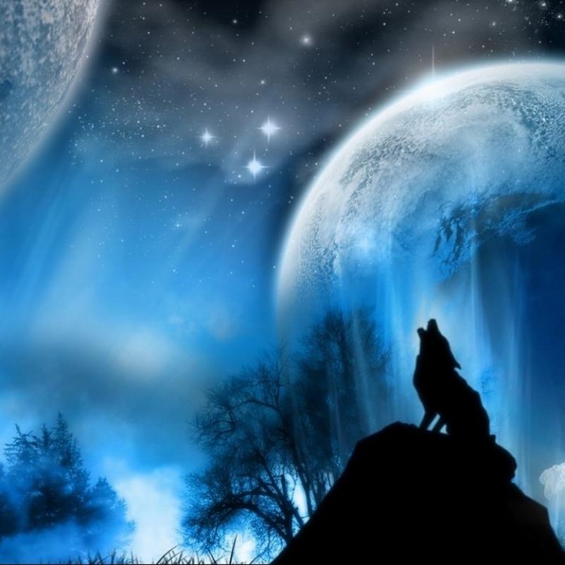 10 Latest Wolf Backgrounds For Desktop FULL HD 1080p For PC Desktop 2022 free download free howling wolf wallpapers background long wallpapers 800x800