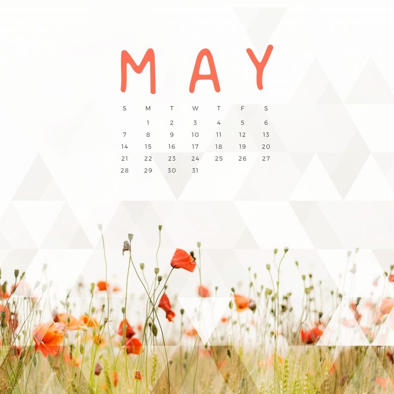 10 New May 2017 Calendar Wallpaper FULL HD 1080p For PC Background 2024 free download free may 2017 calendar for desktop ipad and iphone kalender 800x800