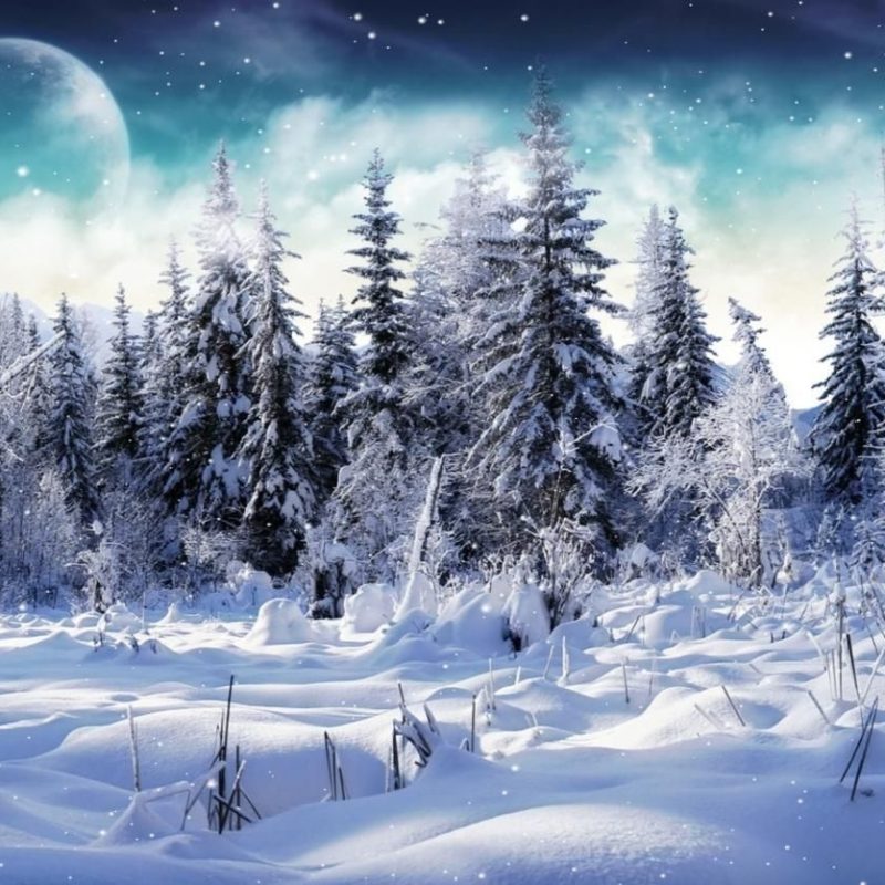 10 Top Winter Scene Wallpapers Free FULL HD 1080p For PC Desktop 2022 free download free microsoft screensavers winter scene download cold winter 1 800x800