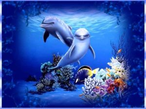 free moving dolphin screensavers | 3d moving wallpapers for desktop