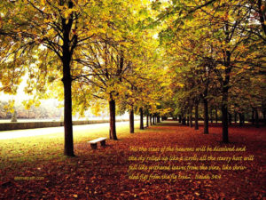 free religious fall pictures | fall trees wallpaper - christian