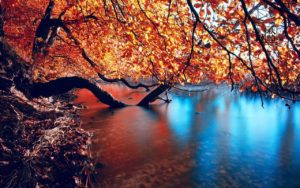 free seasonal wallpaper | epic car wallpapers | pinterest