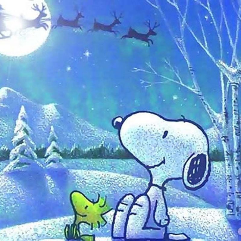 10 Top Snoopy Christmas Wallpaper Free FULL HD 1080p For PC Background 2022 free download free snoopy christmas wallpaper page 1 mafalda pinterest 800x800
