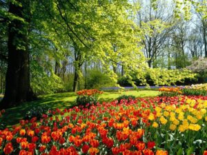 free spring desktop wallpaper downloads |  spring computer