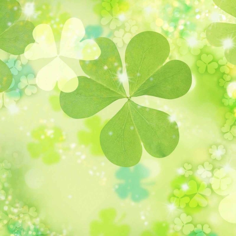 10 New St Patrick Day Pictures Wallpaper FULL HD 1080p For PC Background 2022 free download free st patricks day desktop wallpapers wallpaper cave 8 800x800