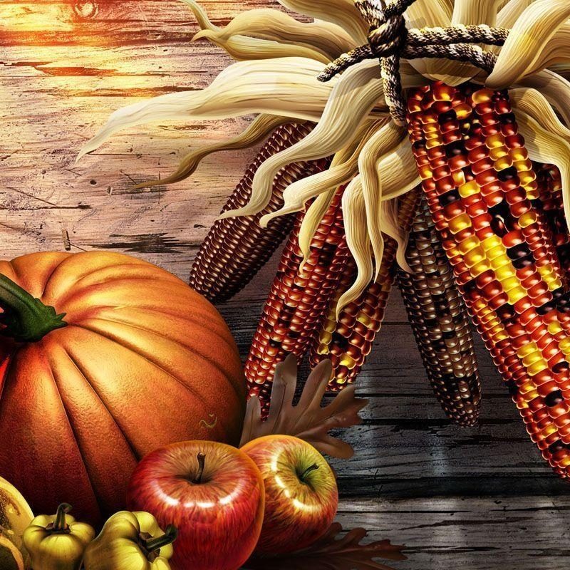 10 Latest Free Thanksgiving Computer Wallpaper FULL HD 1920×1080 For PC Background 2022 free download free thanksgiving computer wallpaper backgrounds wallpaper cave 4 800x800