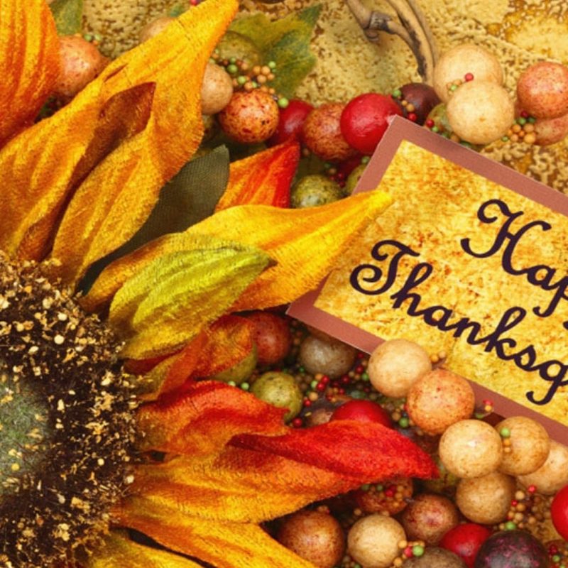 10 New Thanksgiving Desktop Wallpaper Free FULL HD 1080p For PC Background 2022 free download free thanksgiving desktop wallpapers backgrounds 2 800x800