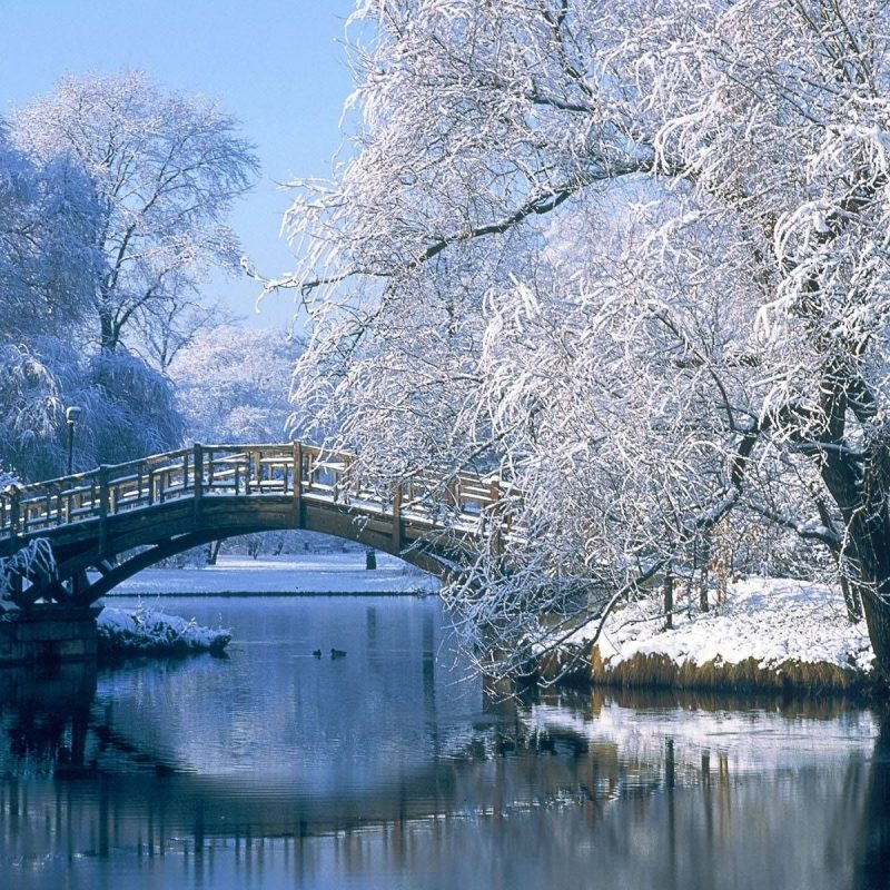 10 Top Winter Scene Wallpapers Free FULL HD 1080p For PC Desktop 2023 free download free winter scene wallpaper wallpapers pinterest wallpaper and 1 800x800