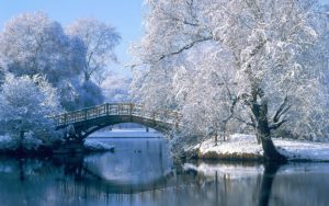 free winter scene wallpaper | wallpapers | pinterest | wallpaper and