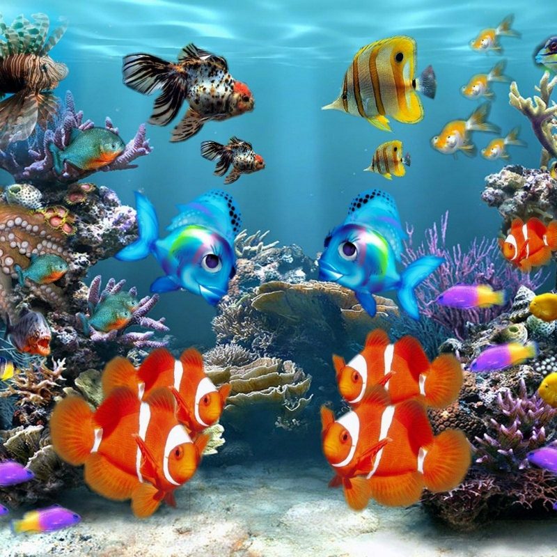 10 Latest Tropical Fishes Wallpapers Hd FULL HD 1080p For PC Desktop 2024 free download freshwater tropical fish wallpaper freshwater fish pinterest 800x800