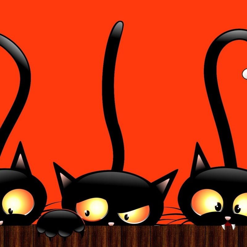10 Top Cute Cat Halloween Wallpaper FULL HD 1920×1080 For PC Background 2022 free download full hd hello kitty halloween wallpaper ololoshenka pinterest 800x800