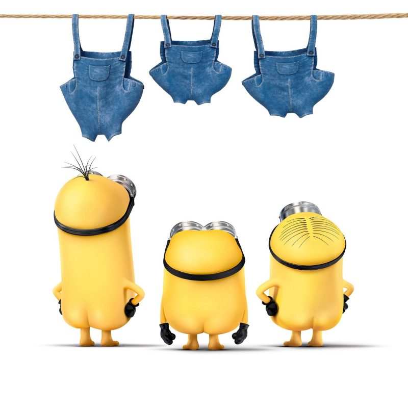 10 Best Minions Wallpaper For Desktop FULL HD 1080p For PC Desktop 2024 free download funny minions movie desktop wallpaper minions movie desktop 800x800