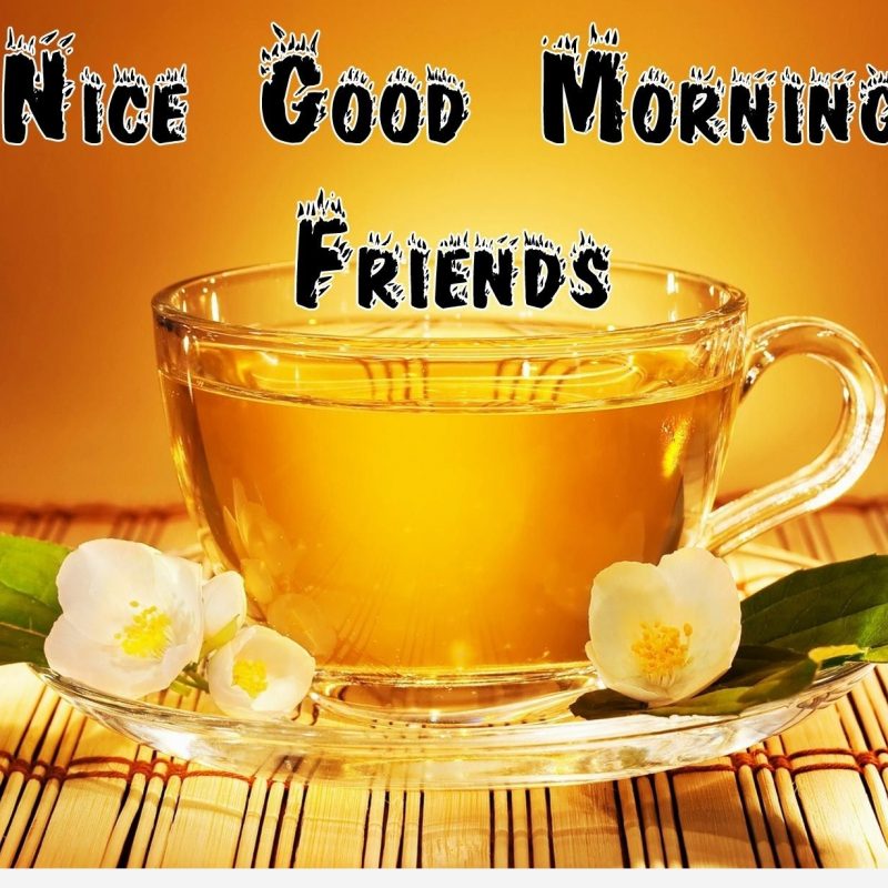 10 Most Popular Good Morning Friends Wallpaper FULL HD 1920×1080 For PC Background 2023 free download good morning friends life wallpaper 800x800