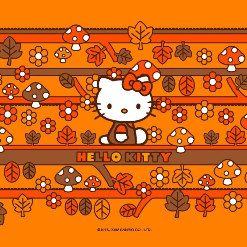10 New Hello Kitty Thanksgiving Wallpaper FULL HD 1920×1080 For PC Background 2023 free download google image result for http www hellokitty fr misc wallpapers 1 800x800