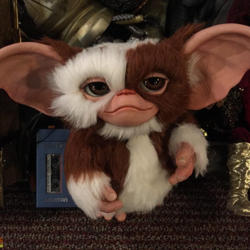 10 Latest Pictures Of Gizmo From Gremlins FULL HD 1080p For PC ...