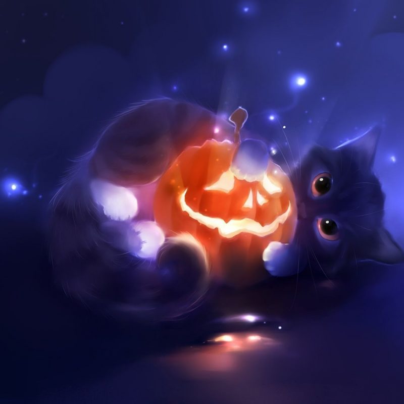 10 Top Cute Cat Halloween Wallpaper FULL HD 1920×1080 For PC Background 2022 free download halloween cat wallpapers wallpaper cave best games wallpapers 800x800