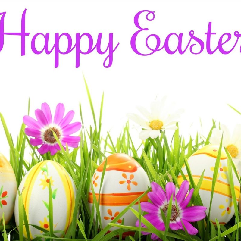 10 Top Happy Easter Images Hd FULL HD 1080p For PC Background 2022 free download happy easter full hd fond decran and arriere plan 1920x1200 id 800x800