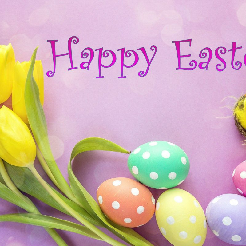10 Top Happy Easter Images Hd FULL HD 1080p For PC Background 2023 free download happy easter hd images download 800x800