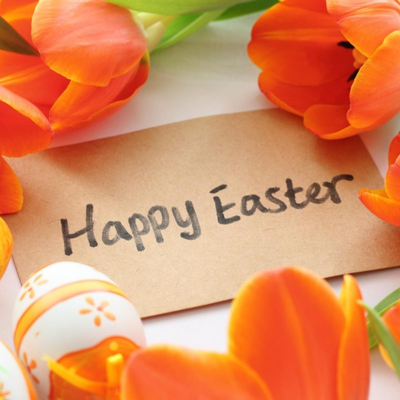 10 Top Happy Easter Images Hd FULL HD 1080p For PC Background 2023 free download happy easter hd photo background hd wallpapers 800x800