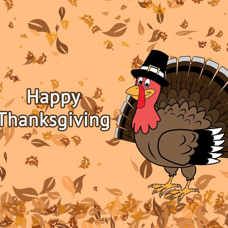 10 Top Happy Thanksgiving Turkey Wallpaper FULL HD 1920×1080 For PC Desktop 2022 free download happy thanksgiving 2017 images pixelstalk 800x800