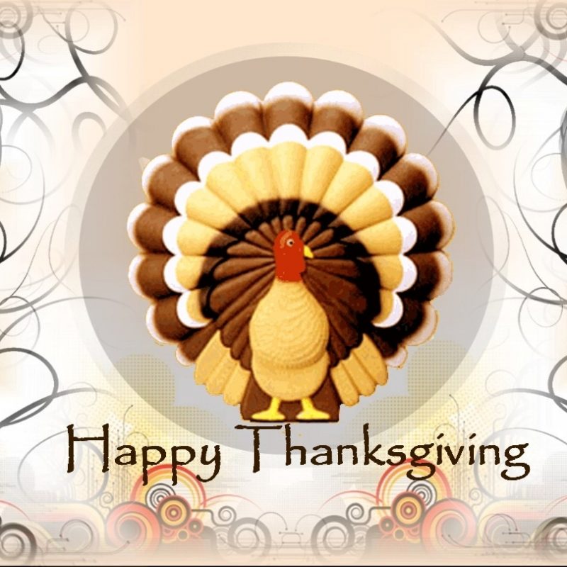 10 Top Happy Thanksgiving Turkey Wallpaper FULL HD 1920×1080 For PC Desktop 2022 free download happy thanksgiving happy thanksgiving clip art wallpaper hd 800x800
