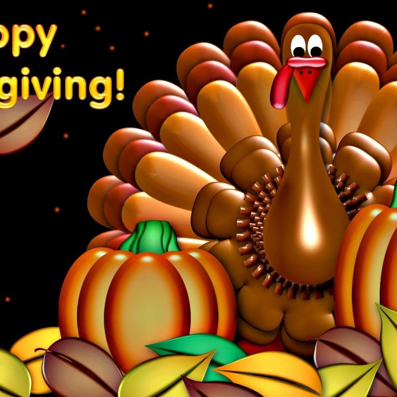 10 Top Happy Thanksgiving Turkey Wallpaper FULL HD 1920×1080 For PC Desktop 2022 free download happy thanksgiving turkey pumpkin artistic holiday hd widescreen 800x800