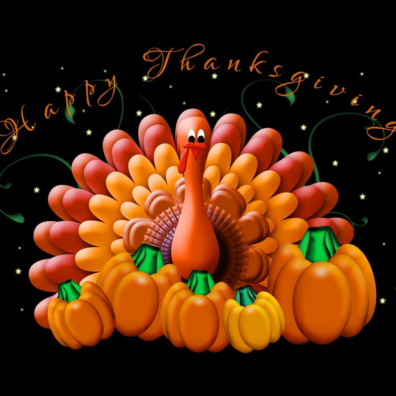 10 Top Happy Thanksgiving Turkey Wallpaper FULL HD 1920×1080 For PC Desktop 2022 free download happy thanksgiving wallpaper holiday wallpapers 23972 800x800