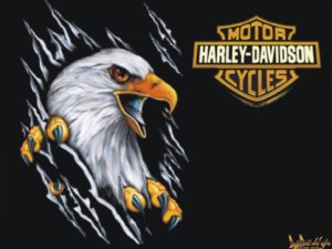 harley davidson eagle wallpaper 7036 hd wallpapers in bikes