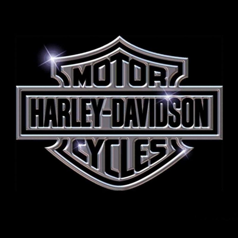 10 Top High Definition Harley Davidson Logo Wallpaper FULL HD 1080p For PC Desktop 2022 free download harley davidson hd high resolution logo wallpaper for desktop 800x800