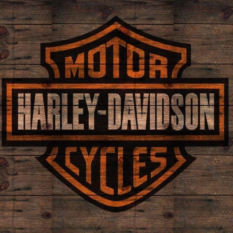 10 Top Harley Davidson Logo Wallpaper FULL HD 1080p For PC Desktop 2022 free download harley davidson logo wallpapers wallpaper cave 10 800x800