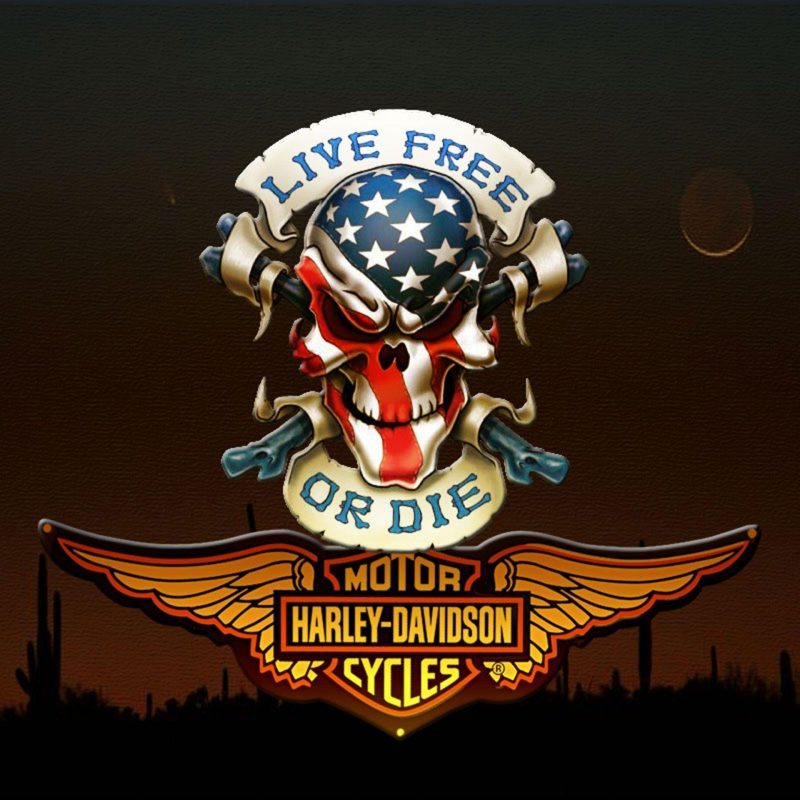 10 Top Harley Davidson Logo Wallpaper FULL HD 1080p For PC Desktop 2022 free download harley davidson logo wallpapers wallpaper cave 11 800x800