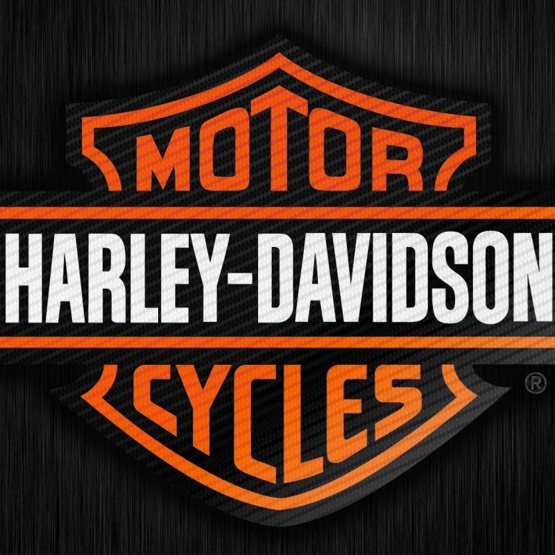 10 Top High Definition Harley Davidson Logo Wallpaper FULL HD 1080p For PC Desktop 2022 free download harley davidson logo wallpapers wallpaper cave 12 800x800