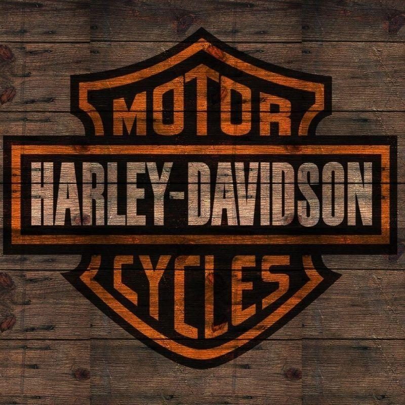 10 Top High Definition Harley Davidson Logo Wallpaper FULL HD 1080p For PC Desktop 2022 free download harley davidson logo wallpapers wallpaper cave 13 800x800