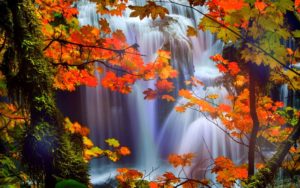 hd-fall-scenery-picture - wallpaper.wiki