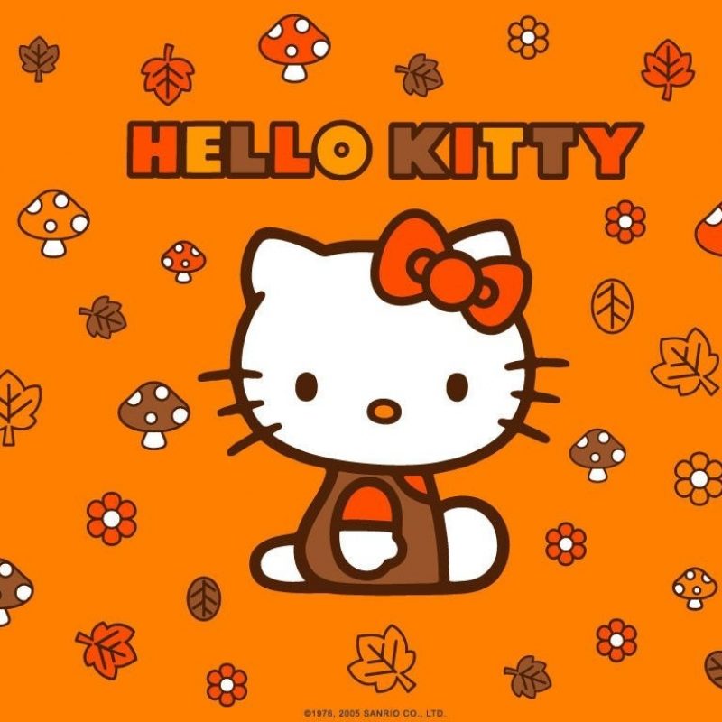 10 New Hello Kitty Thanksgiving Wallpaper FULL HD 1920×1080 For PC Background 2022 free download hello kitty autumn leaves wallpaper cute wallpapers comic and 800x800