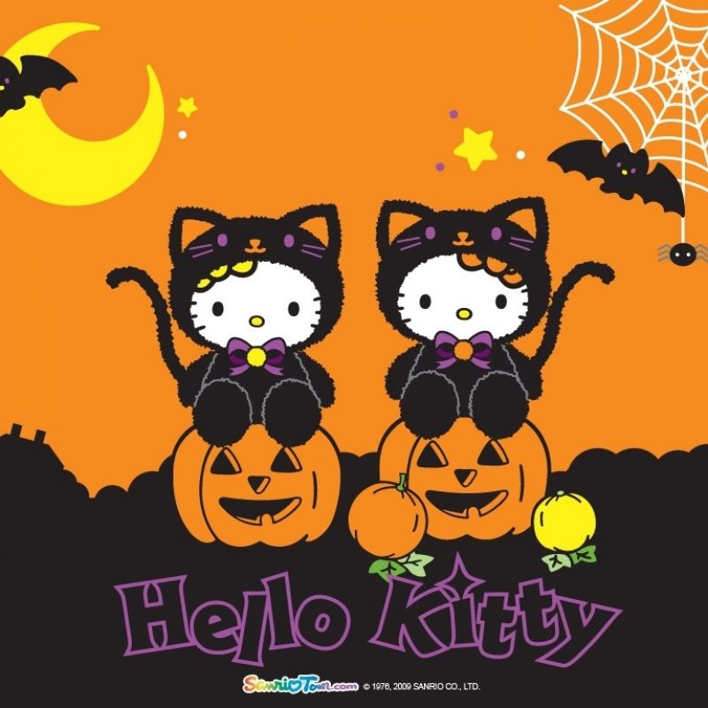 10 Top Hello Kitty Halloween Wallpapers FULL HD 1920×1080 For PC Desktop 2022 free download hello kitty halloween wallpaper hello kitty 8643481 1024 768 joli 800x800
