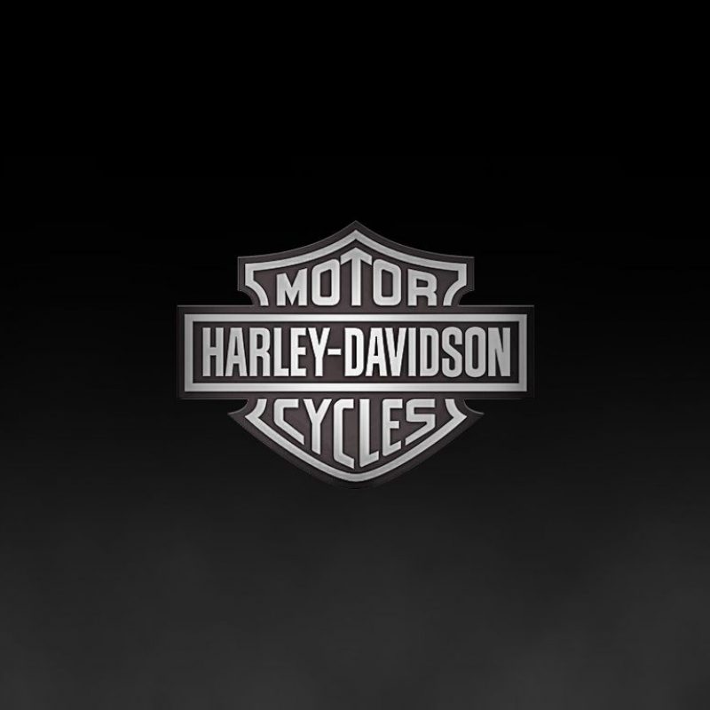 10 Top High Definition Harley Davidson Logo Wallpaper FULL HD 1080p For PC Desktop 2022 free download high definition harley davidson logo wallpaper harley logo 800x800