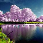 high resolution spring desktop wallpaper | -spring-wallpapers-hd