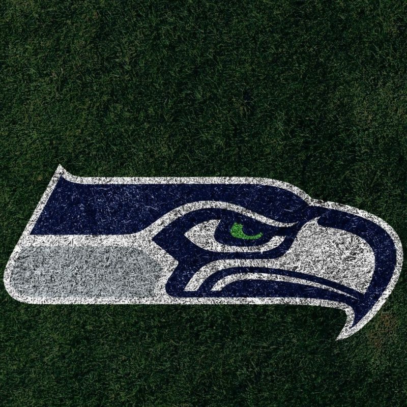 10 Latest Seattle Seahawks Android Wallpaper FULL HD 1920×1080 For PC Background 2024 free download http wallpaperformobile 16216 seattle seahawks wallpaper 800x800