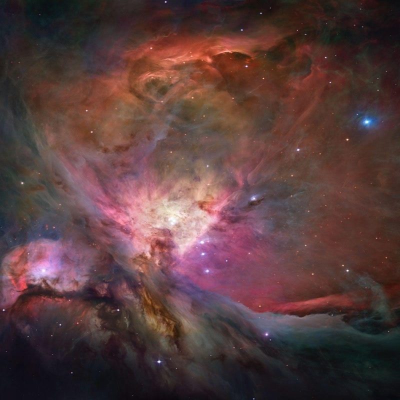 10 Best Orion Nebula Hubble Wallpaper FULL HD 1080p For PC Background 2022 free download hubble orion nebula wallpapers wallpaper cave 800x800