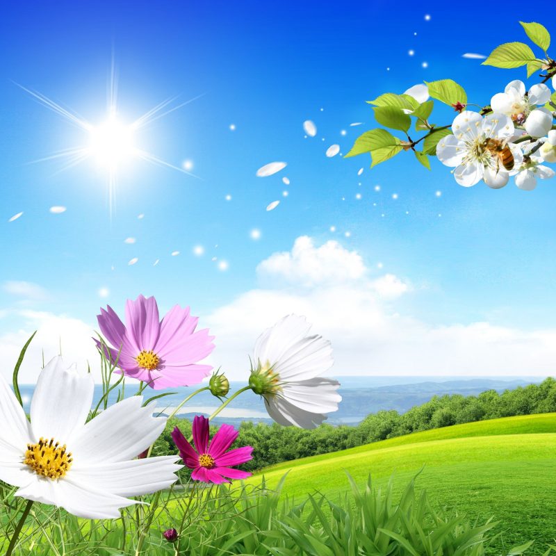 10 Top Background Images Nature Spring FULL HD 1080p For PC Background 2022 free download image description for spring nature photos wallpaper spring nature 800x800