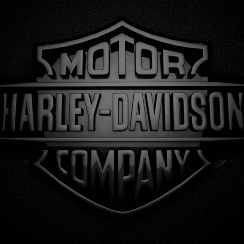 10 Top Harley Davidson Logo Wallpaper FULL HD 1080p For PC Desktop 2022 free download image for harley davidson skull logo wallpaper desktop 9sp4l 800x800