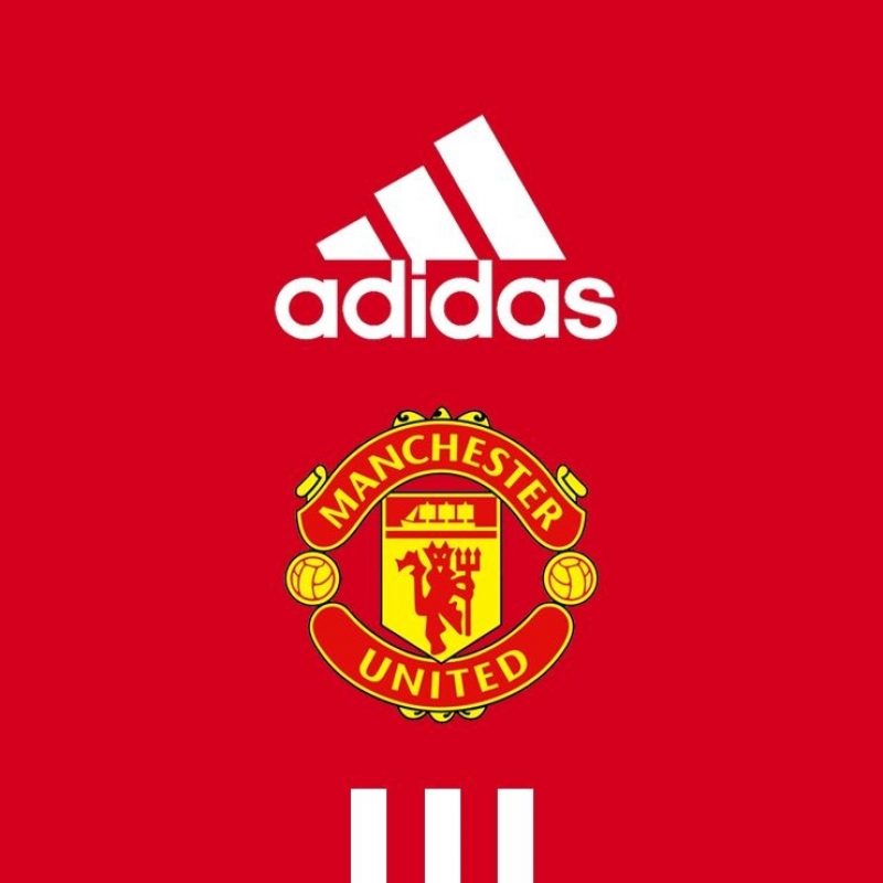 10 Best Manchester United Wallpaper 2016 FULL HD 1080p For PC Background 2024 free download image for manchester united wallpaper ik97b places to visit 1 800x800